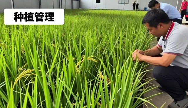 项目定制化方案未来将在项目现场中发挥更大作用